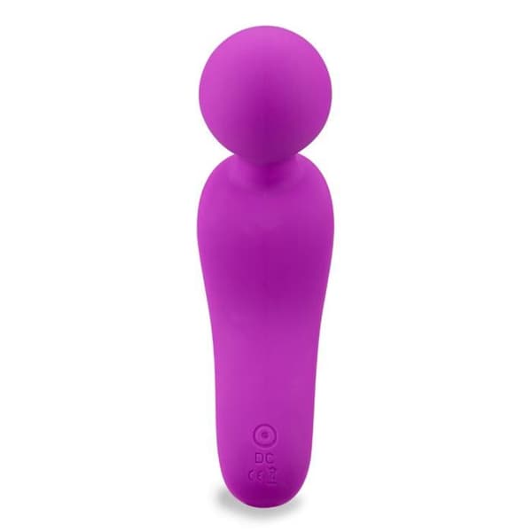 Mini Passenger Wand Vibrator
