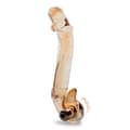 Miniatyrbild 2 av 4: Virtuos Vibrerande Glas Dildo - Amber - G-Spot Stimulator - Vibration - Vuxen