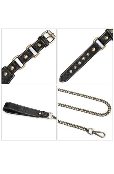 Lovetoy Rebellion Reign Collar With Chain Krave & snor