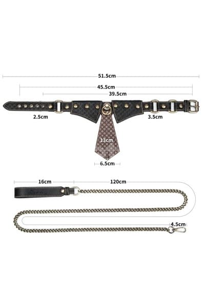 Lovetoy Rebellion Reign Collar With Chain Krave & snor
