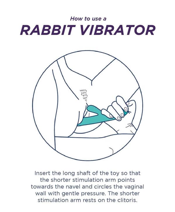 PMV20 Copy Rabbitvibrator med Delfin
