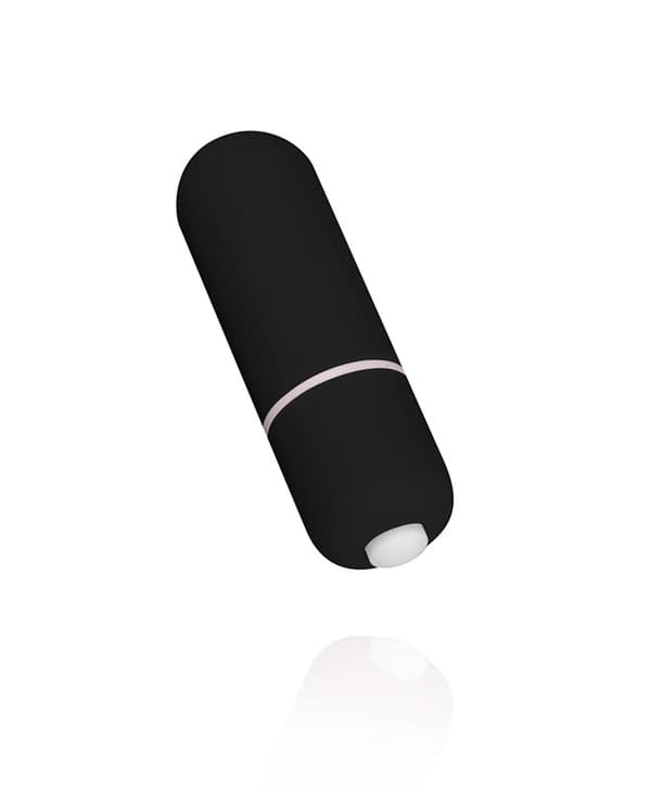 Mini Bullet 10 Speed Vibrator