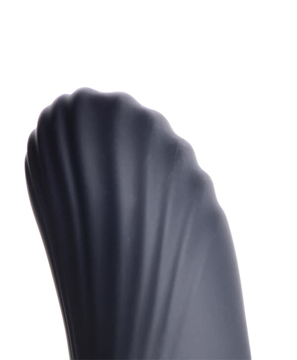 Thunderplugs - Thrusting Analvibrator