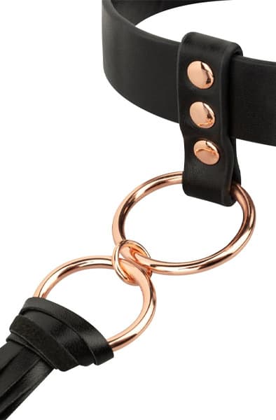 Rosy Gold Collar With Flogger Panta&Talutushihna
