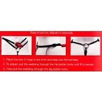 Strap-on Dildo - SPORTSHEET - Dubbel penetration - Svart - Vuxen - Strap-on dildo &amp; cockring