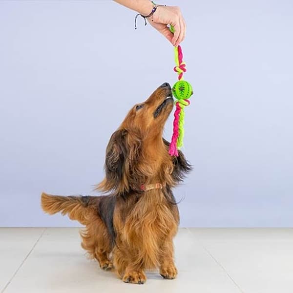 Rena Tänder Boule med knutar RENA TÄNDER BOLL - STOR