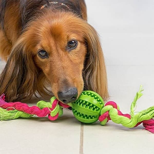 Rena Tänder Boule med knutar RENA TÄNDER BOLL - STOR