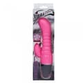 Miniatyrbillede 7 af 7: BAILE VIBRATOR 8.9