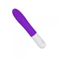 Miniatyrbillede 1 af 6: 7 vibrationsfunktion Lilla vibrator