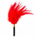 Pikkukuva 1 / 2: Tickler Burlesque Plume Red