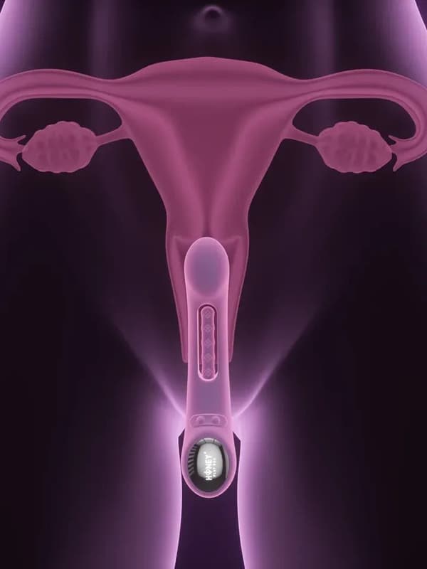 Pressure Sensing App-Controlled G-spot Vibrator Appstyrd vibrator