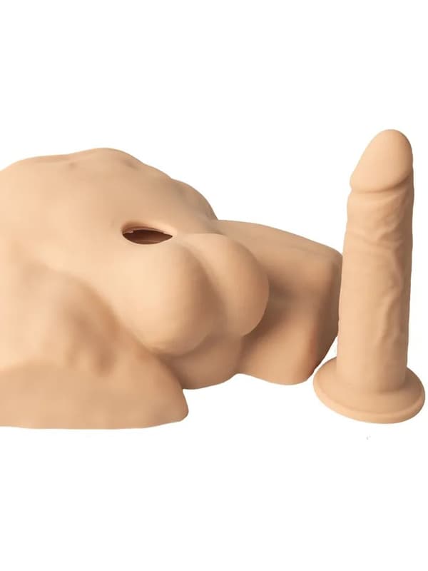 Silex-D Apollo S Half Male Torso Sexdocka