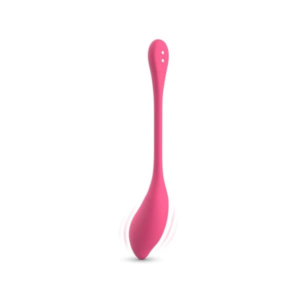EASYTOYS APPSTYRD VIBRATOR ÄGG