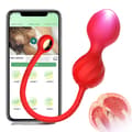 Miniatyrbild 1 av 2: Vibrator, APP-kontroll, G-punktsmassage, silikonmaterial,TD020-RD-BOX