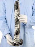 Miniatyrbilde 2 av 3: Bad Demon Pisara XL Dildo 43 cm XL dildo
