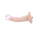 Miniatyrbillede 1 af 2: VAC-U-LOCK maskine, hudtyper, sugekop, FLD015