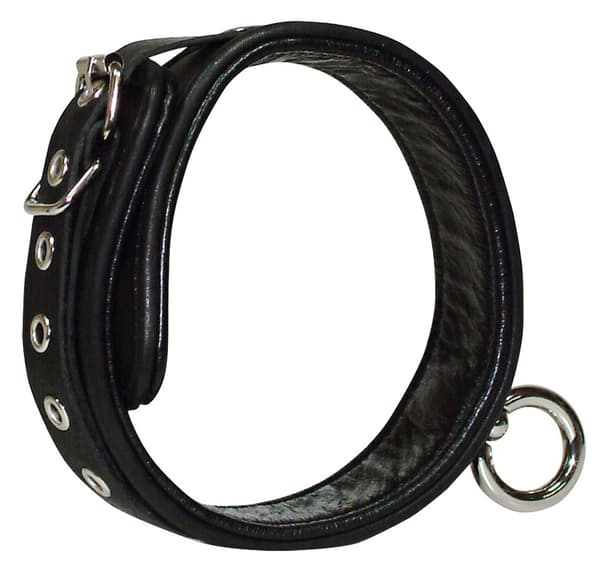 Wild Thing Bondage Collar
