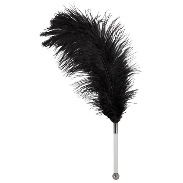 Feather Wand