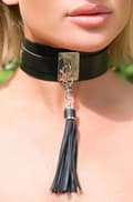 Miniatyrbilde 1 av 2: Teasing Tassel Collar Silver/Black