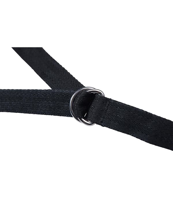 Master Series Bed Restraint Set
