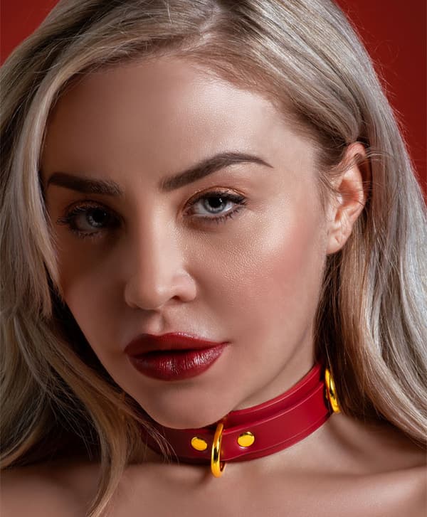 Taboom D-Ring Collar Deluxe