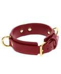 Miniatyrbilde 2 av 5: Taboom D-Ring Collar Deluxe