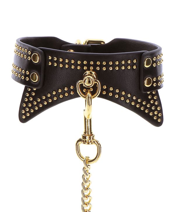 Taboom Studded Collar and Leash