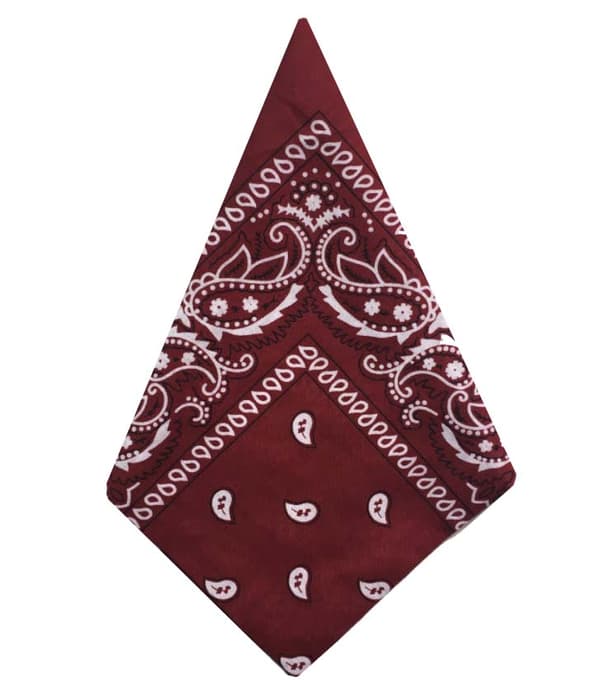 Bandana Paisleymönster