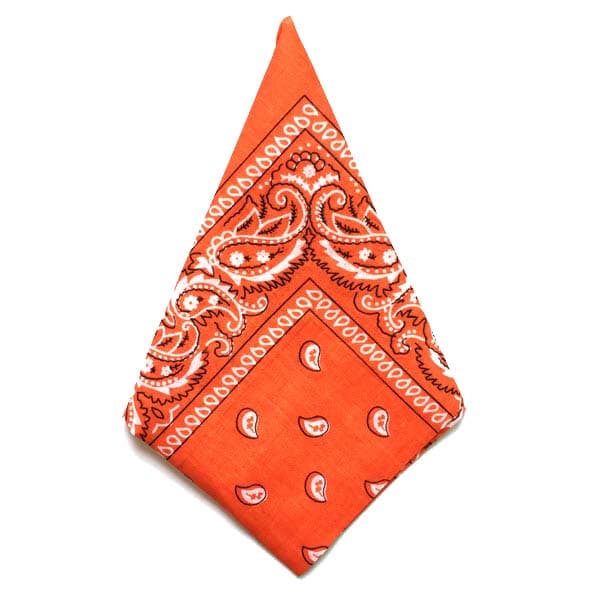 Bandana Paisleymönster