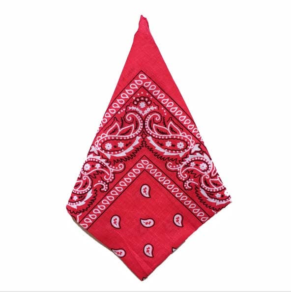 Bandana Paisleymönster