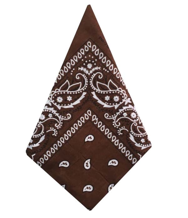 Bandana Paisleymönster