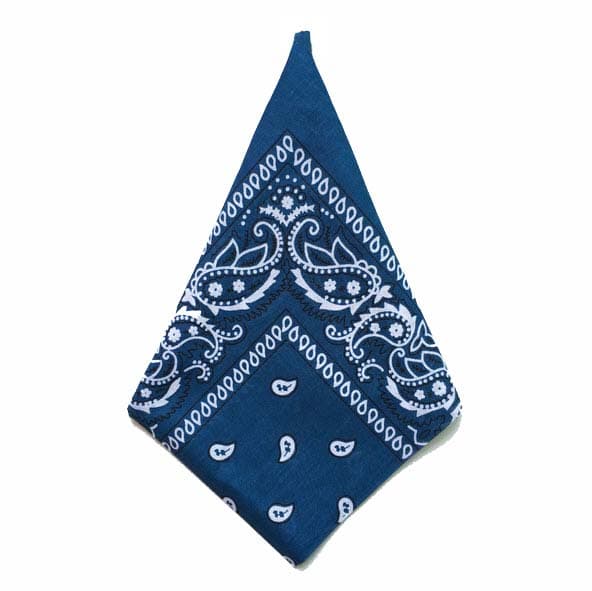 Bandana Paisleymönster