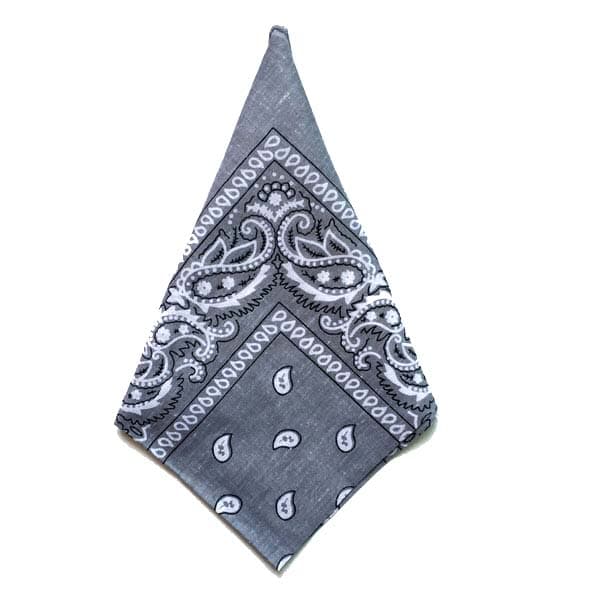 Bandana Paisleymönster