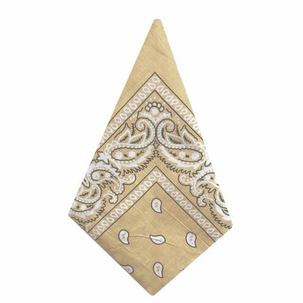 Bandana Paisleymönster