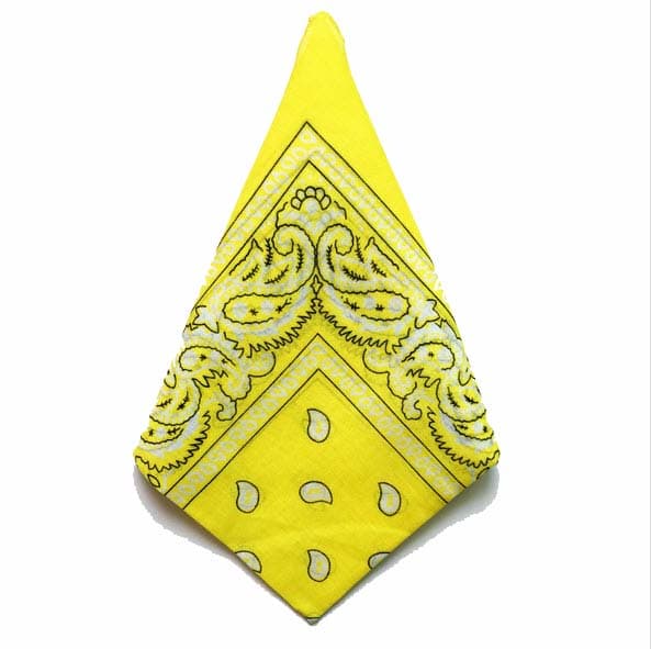 Bandana Paisleymönster