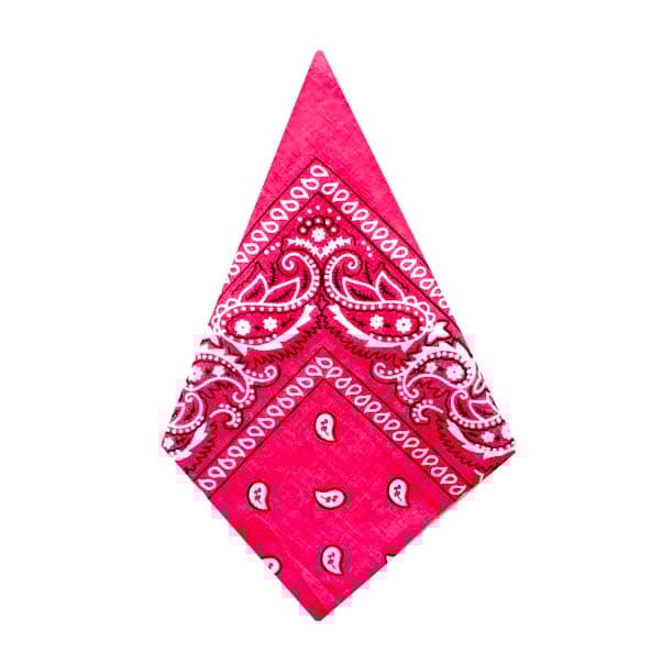 Bandana Paisleymönster
