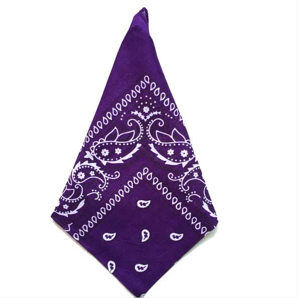 Bandana Paisleymönster