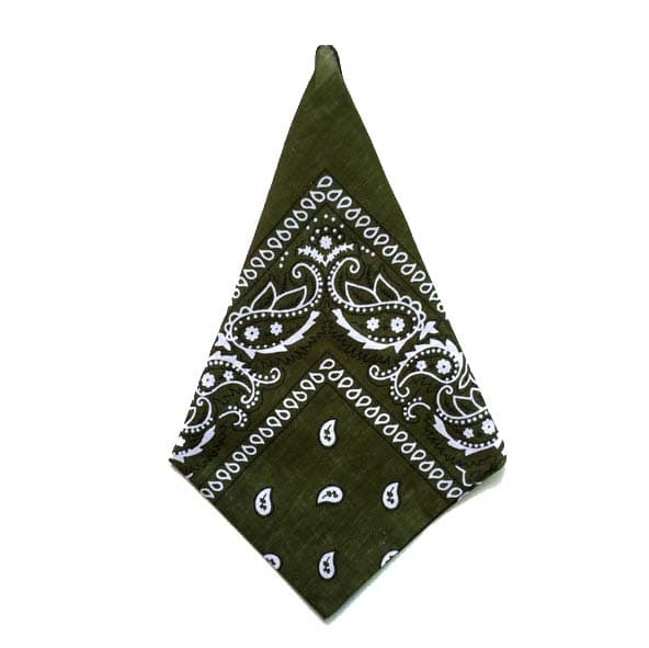 Bandana Paisleymönster