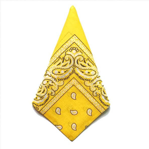 Bandana Paisleymönster