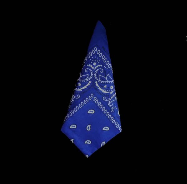 Bandana Paisleymönster