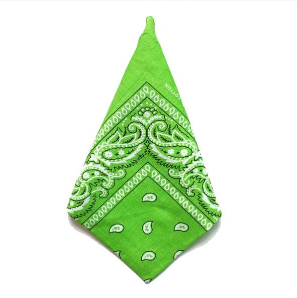Bandana Paisleymönster