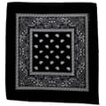 Miniatyrbild 2 av 2: Bandana Paisleymönster