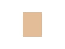 L'Oréal Paris True Match Super-Blendable Powder (D3-W3 Golden Beige) 9 g