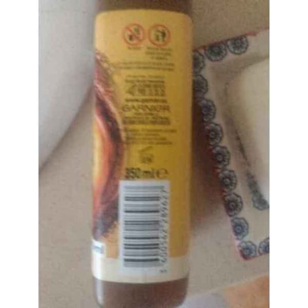 Schampo Garnier Fructis Hair Food 350 ml