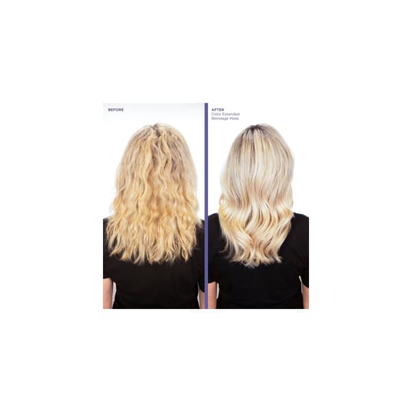 Redken Color Extend Blondage Duo - Blont & Silver