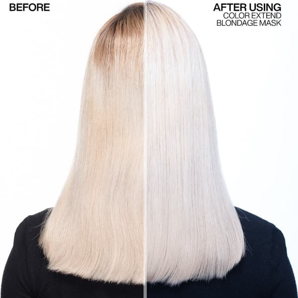 Redken Color Extend Blondage Duo - Blont & Silver