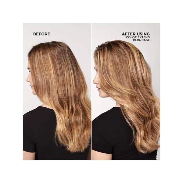 Redken Color Extend Blondage Duo - Blont & Silver