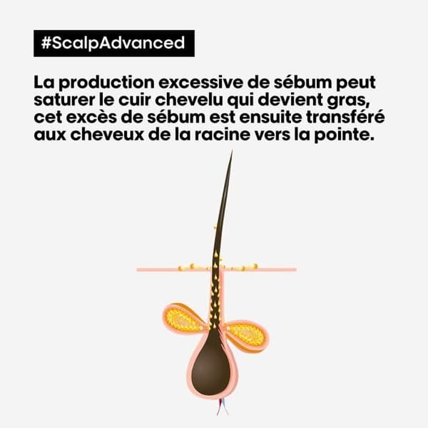 L'Oréal Scalp Advanced Dermo-Purifying Shampoo 500ml