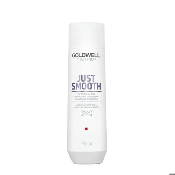 Goldwell Dualsenses Just Smooth Taming Shampoo 250ml - disciplinshampoo