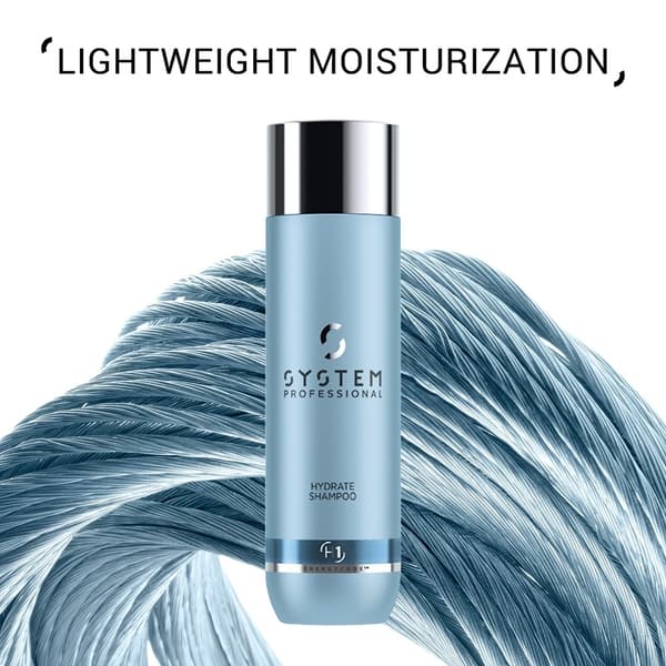 System Professional Hydrate Shampoo 250ml